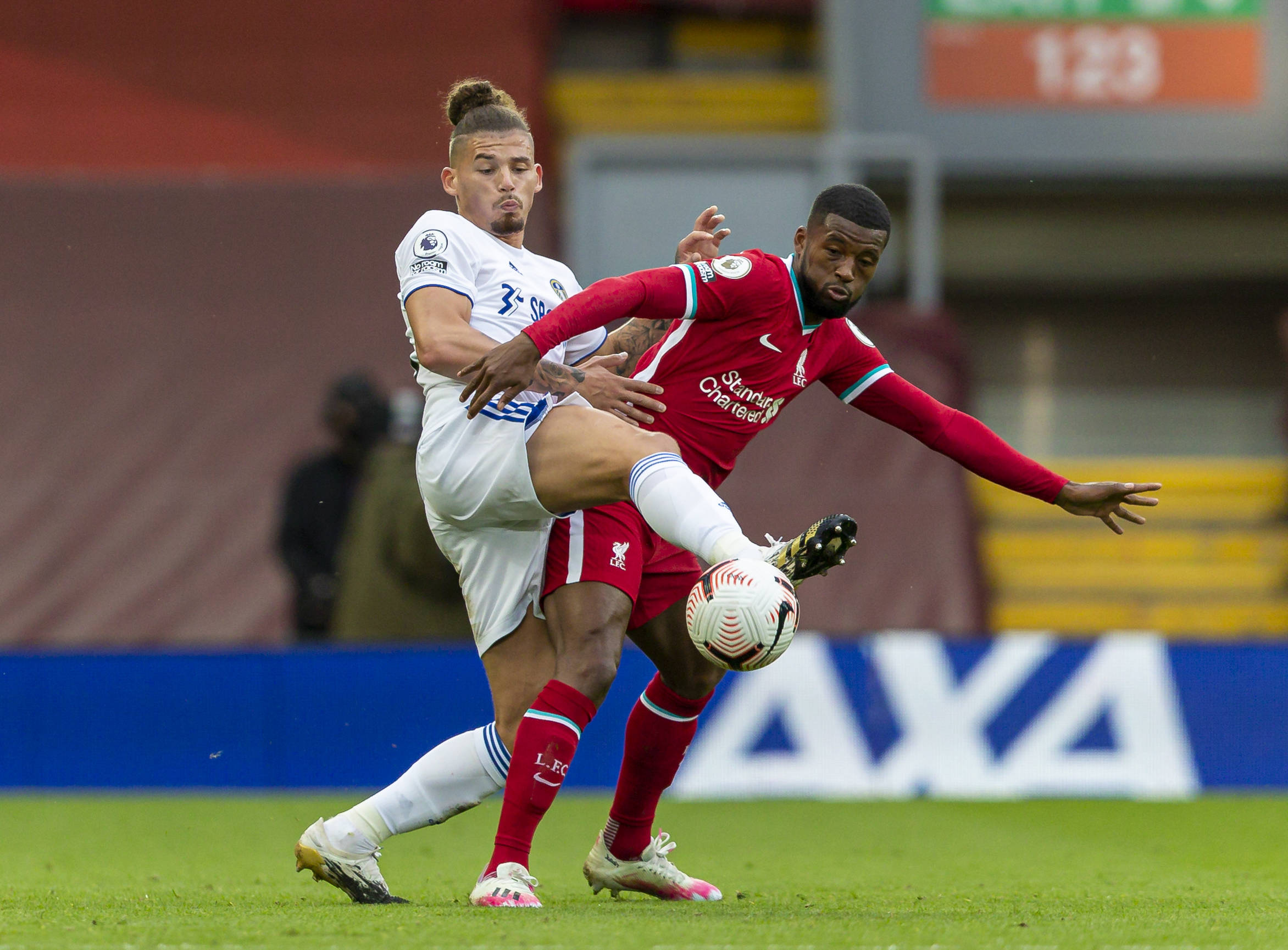 仅增强了国 仅增强了国